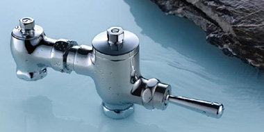 Flushing Valve